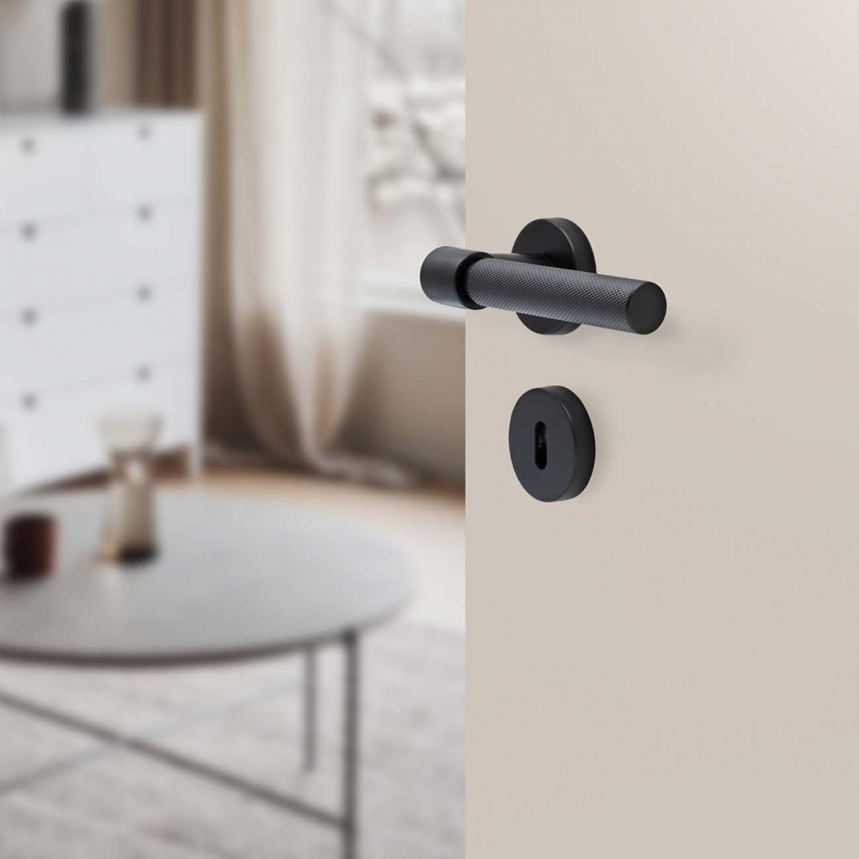 Door handle for modular lock