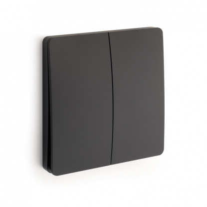 Wireless switch/dimmer Kiny - Black