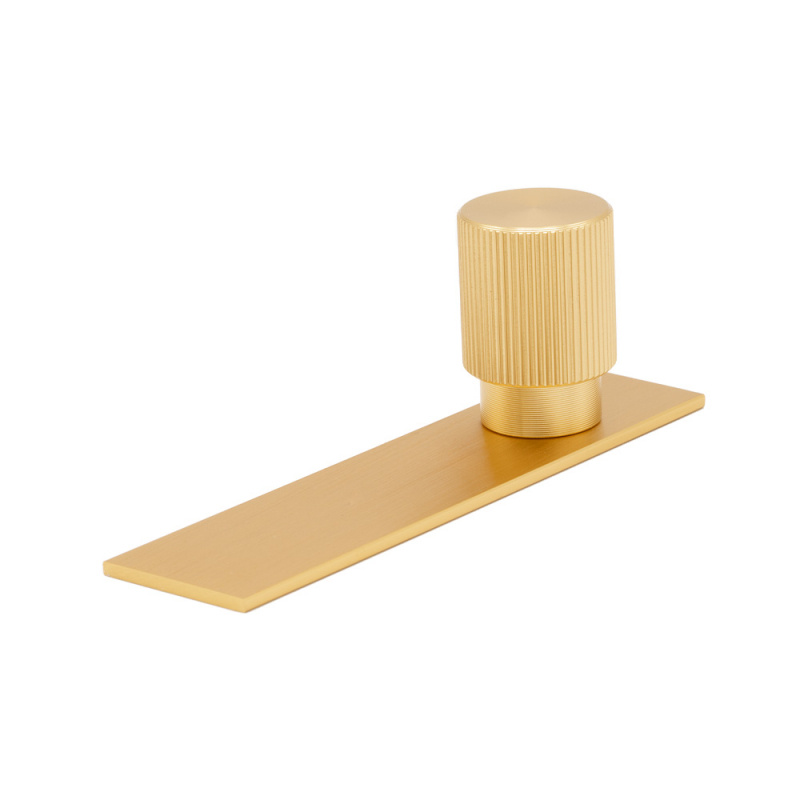 Knob Arpa - Backplate - Brushed brass