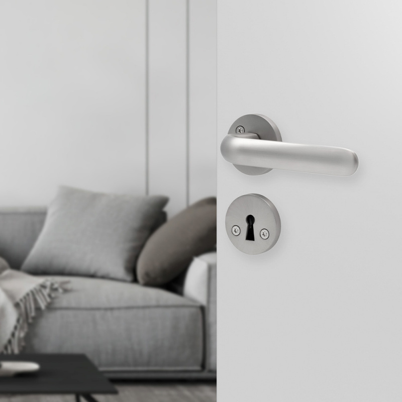 Door Handle Zermatt - Stainless Steel Look