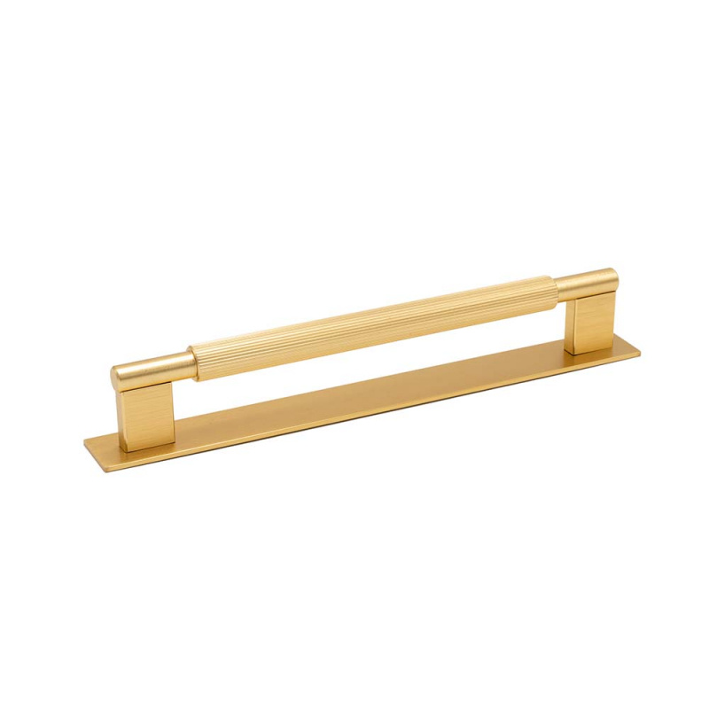 Handle Arpa - Backplate - Brushed brass