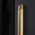 Handle Arpa - Backplate - Brushed brass
