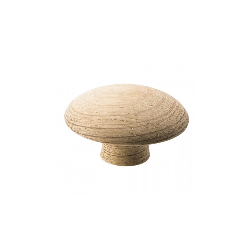 Knob Mushroom - Oak